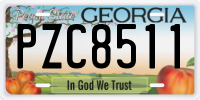 GA license plate PZC8511