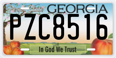GA license plate PZC8516