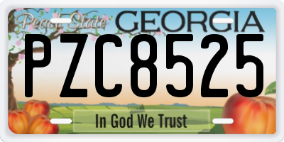 GA license plate PZC8525