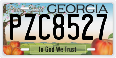 GA license plate PZC8527