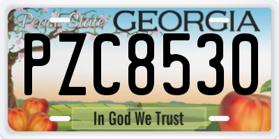 GA license plate PZC8530
