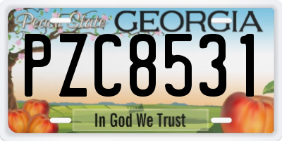 GA license plate PZC8531