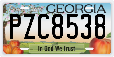 GA license plate PZC8538