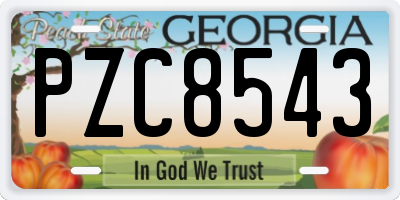 GA license plate PZC8543