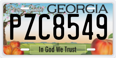 GA license plate PZC8549