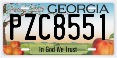 GA license plate PZC8551