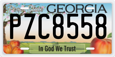 GA license plate PZC8558