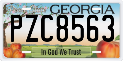 GA license plate PZC8563