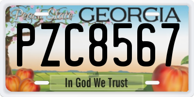 GA license plate PZC8567