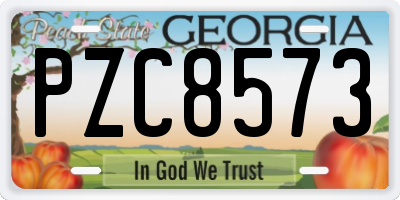GA license plate PZC8573