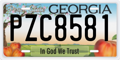 GA license plate PZC8581
