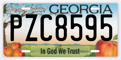 GA license plate PZC8595
