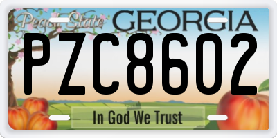 GA license plate PZC8602