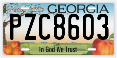 GA license plate PZC8603