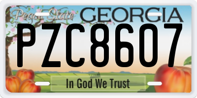 GA license plate PZC8607