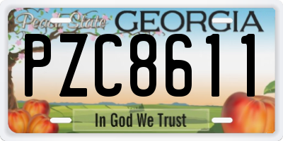 GA license plate PZC8611
