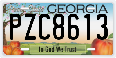 GA license plate PZC8613