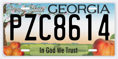 GA license plate PZC8614