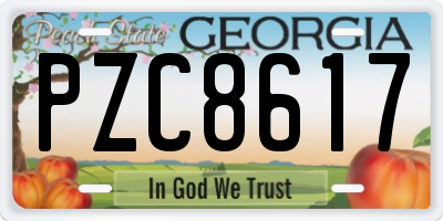 GA license plate PZC8617