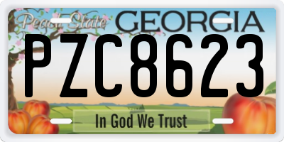 GA license plate PZC8623