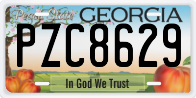 GA license plate PZC8629