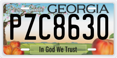 GA license plate PZC8630