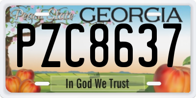 GA license plate PZC8637