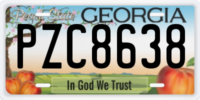 GA license plate PZC8638