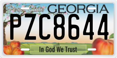 GA license plate PZC8644