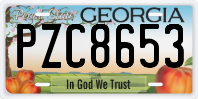 GA license plate PZC8653