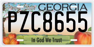 GA license plate PZC8655