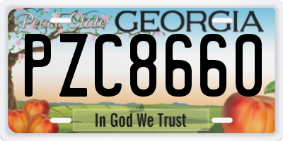 GA license plate PZC8660