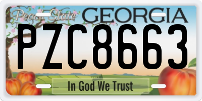 GA license plate PZC8663