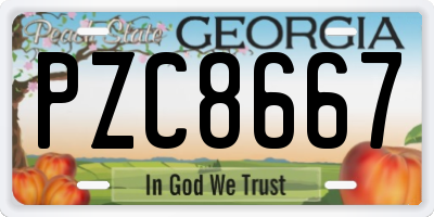 GA license plate PZC8667