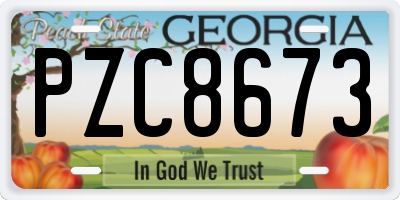 GA license plate PZC8673