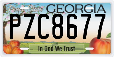 GA license plate PZC8677
