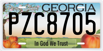 GA license plate PZC8705