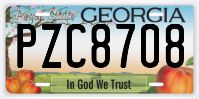 GA license plate PZC8708