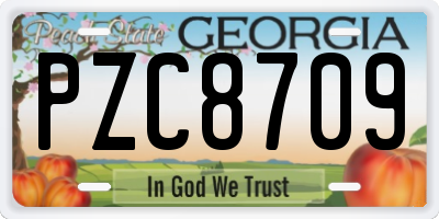 GA license plate PZC8709