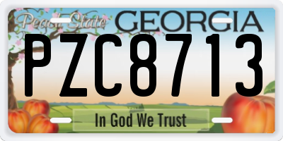 GA license plate PZC8713