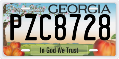 GA license plate PZC8728