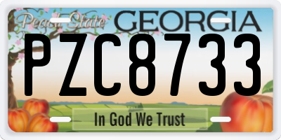 GA license plate PZC8733