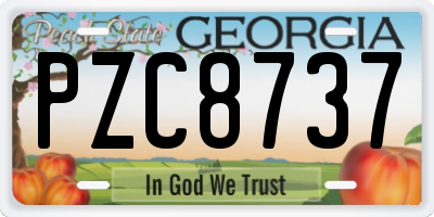 GA license plate PZC8737