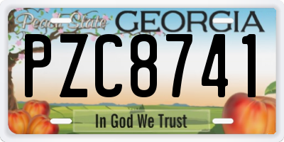 GA license plate PZC8741
