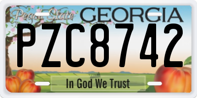 GA license plate PZC8742