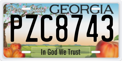 GA license plate PZC8743