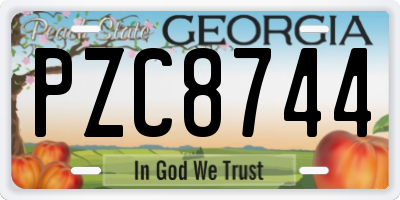 GA license plate PZC8744