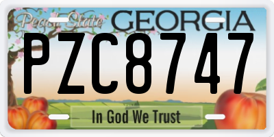 GA license plate PZC8747