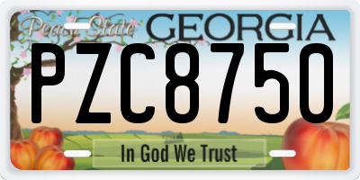 GA license plate PZC8750