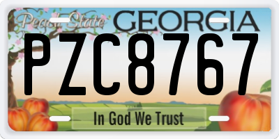 GA license plate PZC8767